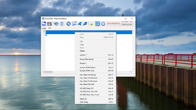 RiverJSON Code Editor Flyout