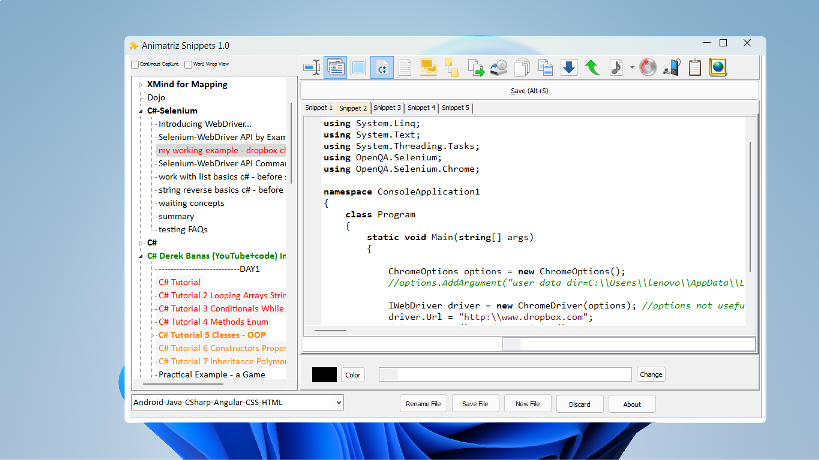 Code snippet storage with syntax highlighting for developers