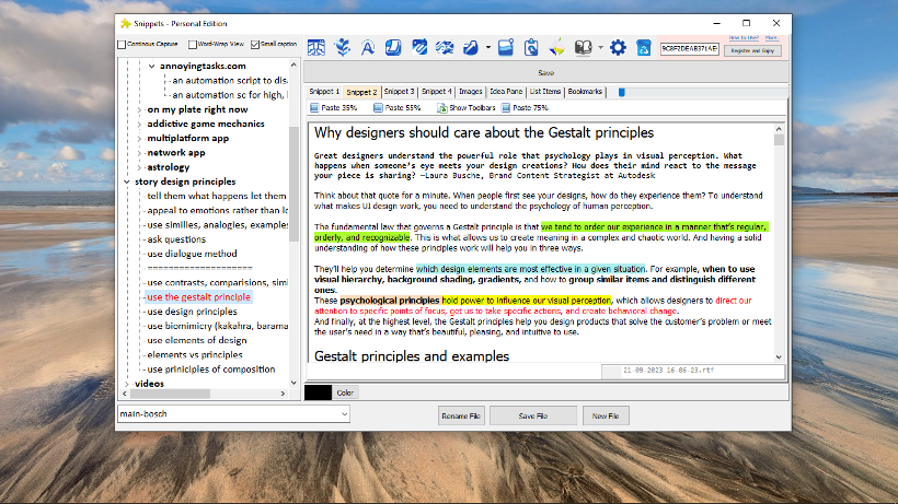 Rich text formatting with customizable highlighting options